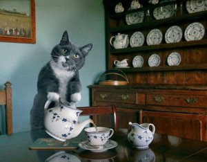 tea_party I Used To Be A Liberal Too